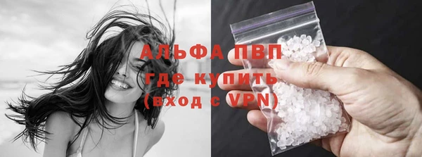 стаф Алексин