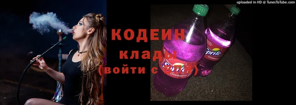 стаф Абаза