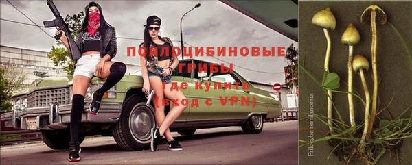 стаф Абаза