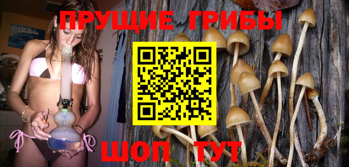 Псилоцибиновые грибы Psilocybe Электросталь